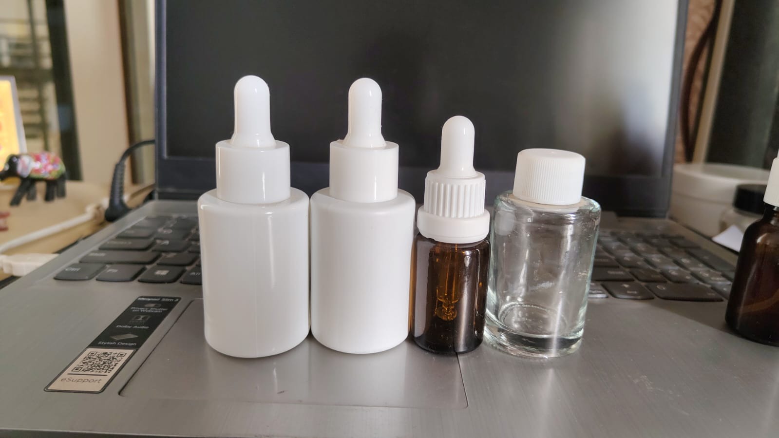 Glass Dropper Bottle